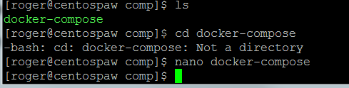 start nano to check docker file